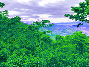 Guatemala Huehuetenango – SHB EP Single Origin Coffee Mountainous highlands of Huehuetenango, Guatemala, where Ricco Coffee sources SHB EP single origin coffee known for its floral aroma and crisp citrus acidity