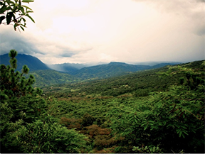 Mexico Chiapas – Single Origin from High-Altitude Family Farms Coffee-growing region in the mountains of Chiapas, Mexico, where Ricco Coffee sources its El Mezcal single origin from a collective of 12 smallholder farmers