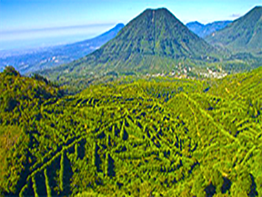 Coffee farms nestled against the backdrop of volcanic mountains in El Congo, El Salvador, where Las Lomas farm produces high-quality Pacas and Bourbon coffee varieties.